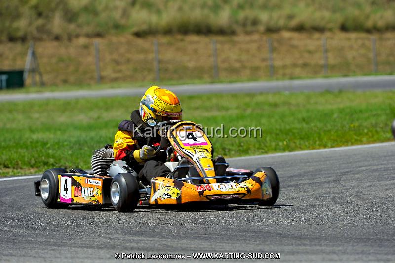 DSC_ (1509).jpg